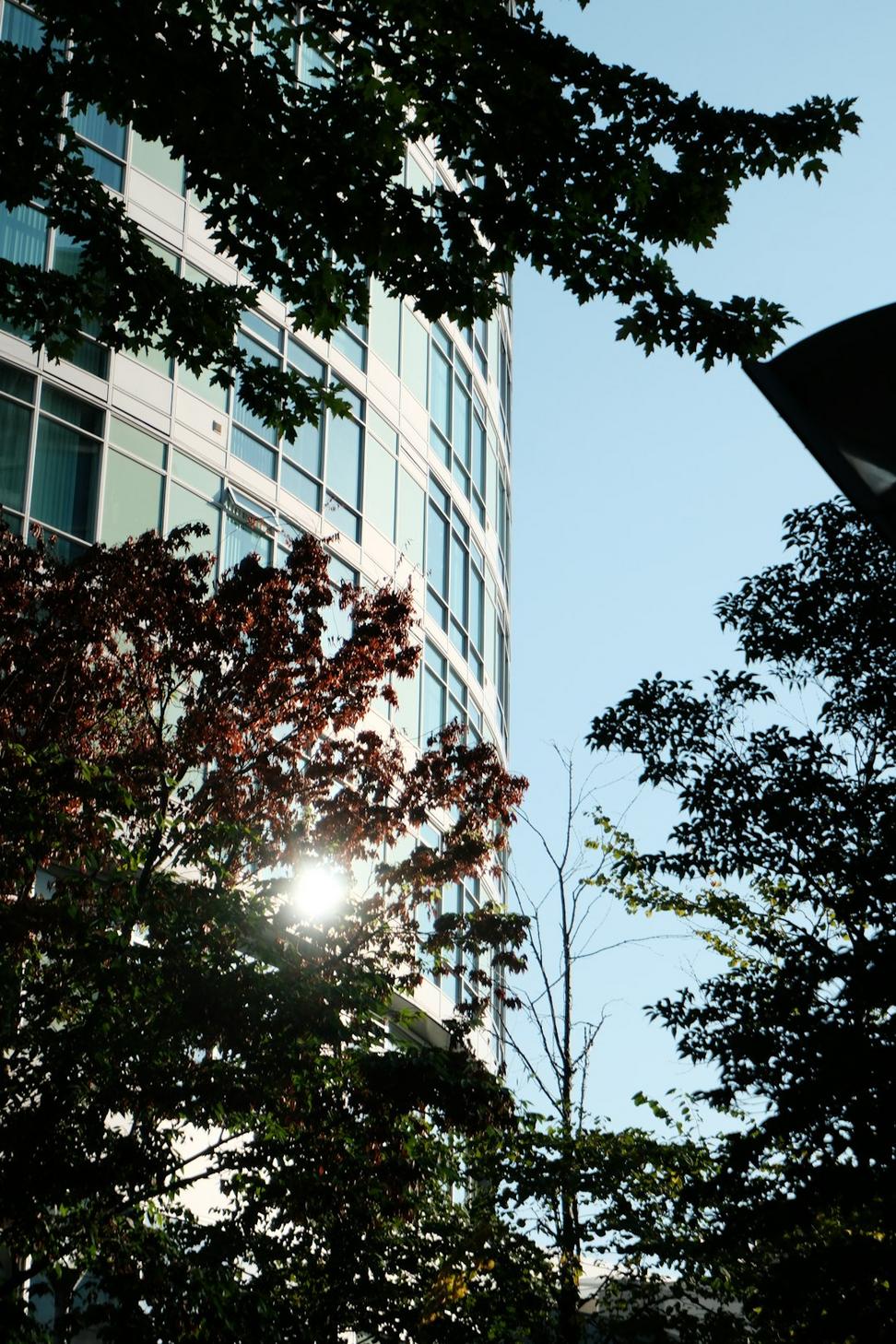 Verdant Tower