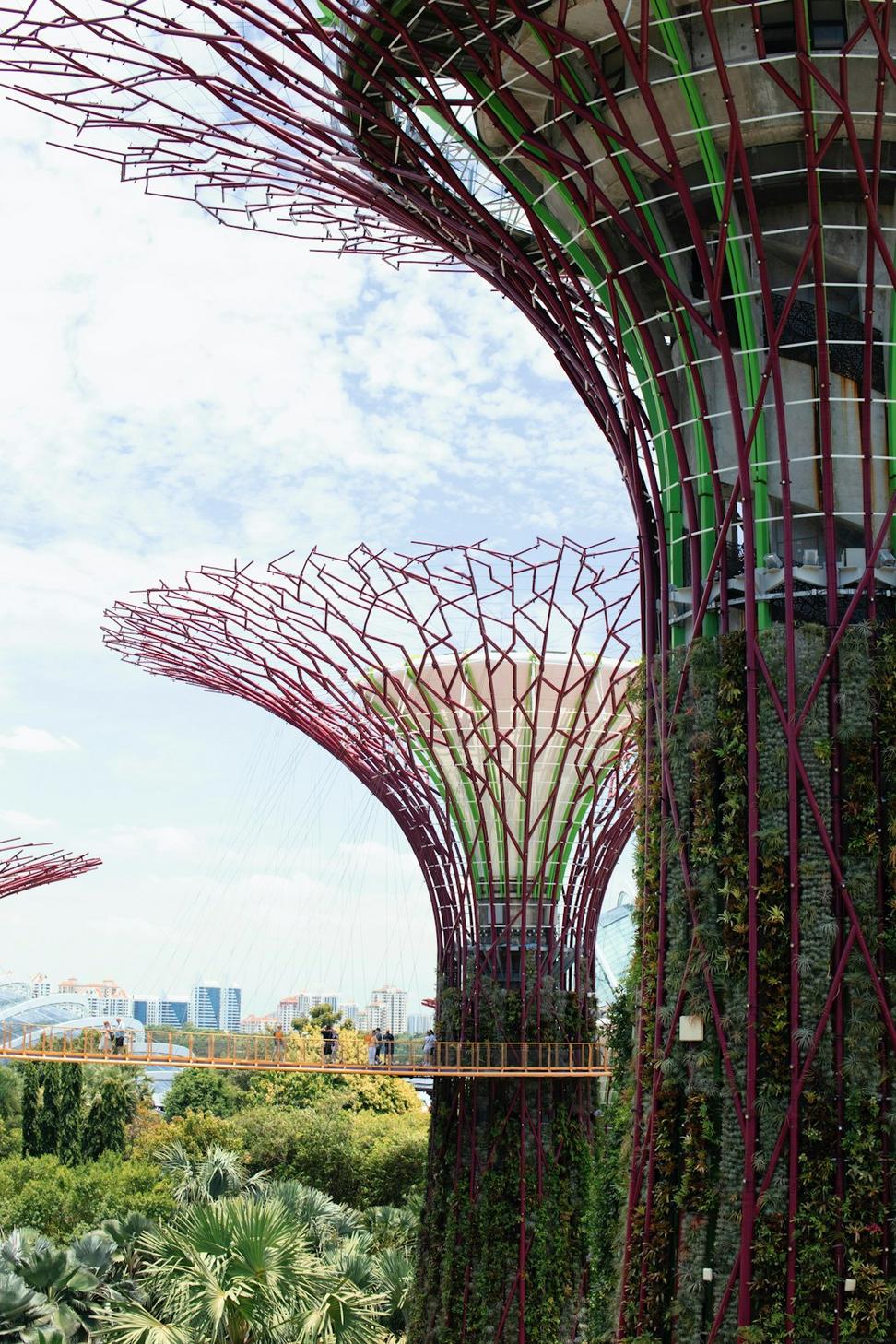 Green architecture integrated with nature